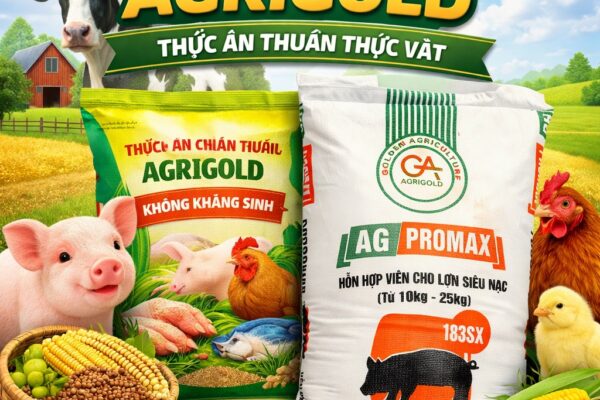 Loại bỏ kháng sinh trong chăn nuôi từ 2026: Giải pháp sinh học thay thế hiệu quả