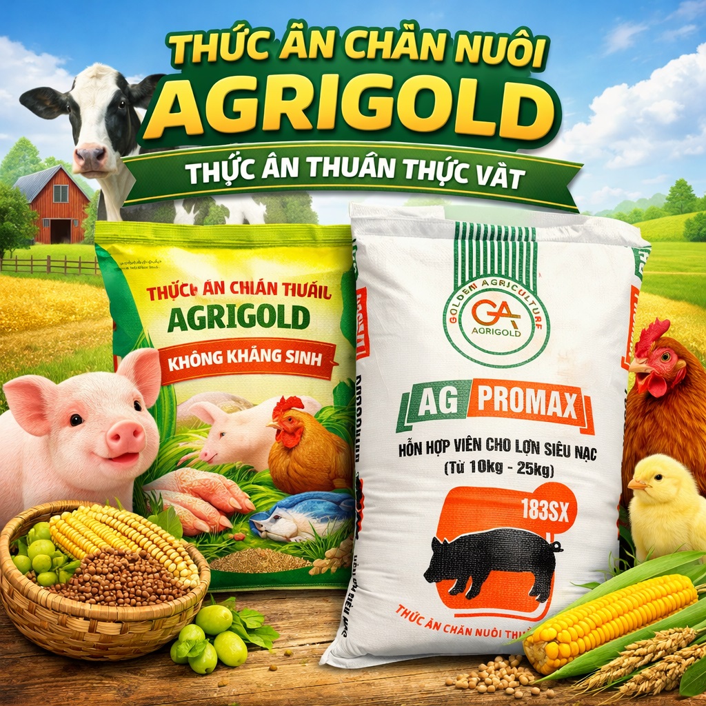 Loại bỏ kháng sinh trong chăn nuôi từ 2026: Giải pháp sinh học thay thế hiệu quả