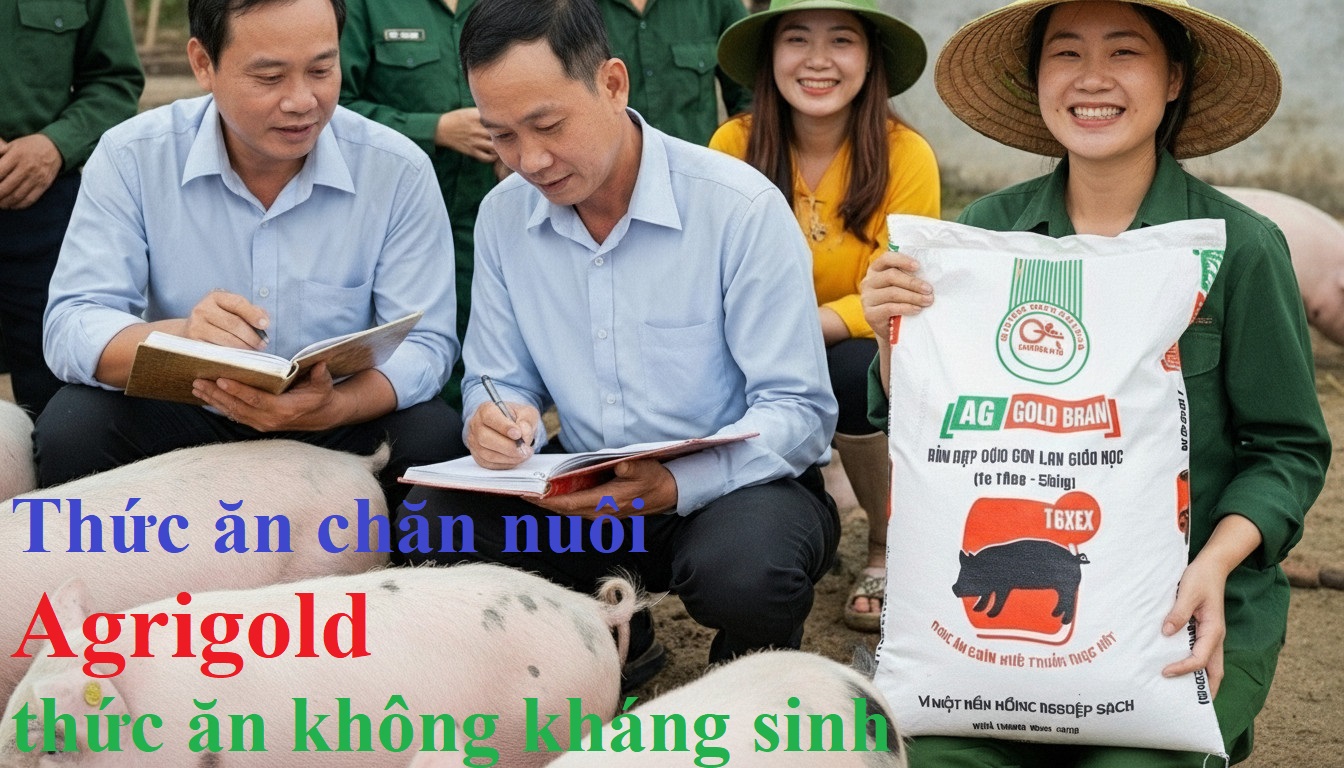 Năm 2026 chính thức cấm kháng sinh trong chăn nuôi – Người chăn nuôi cần chuẩn bị gì?